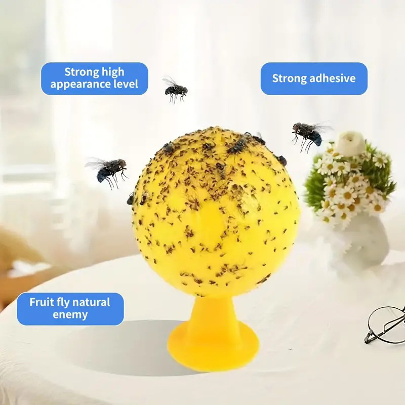 Pest Trap Yellow Sticky - Yellow Sticky Insect Trap Fly Fruit