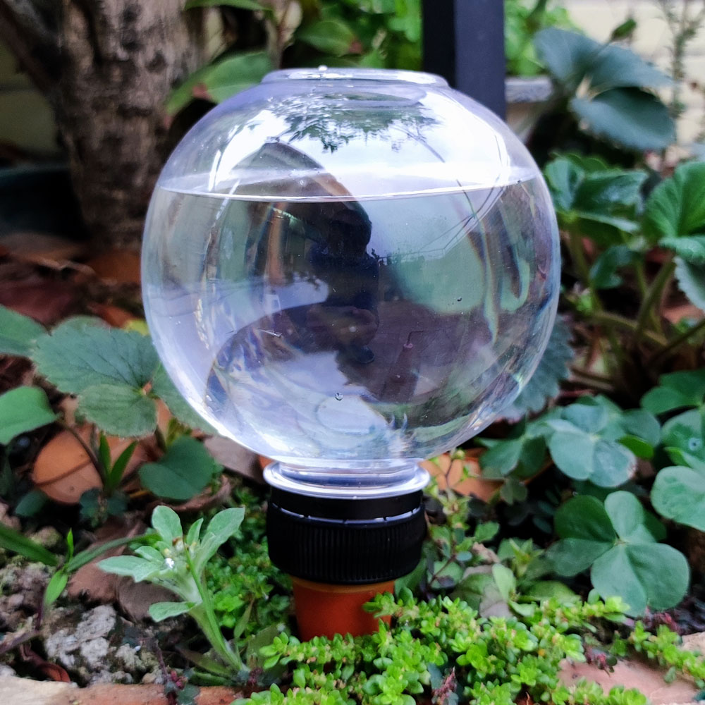 4 Pcs Automatic Watering Plant - đánh giá và giá Gardening Tools Green