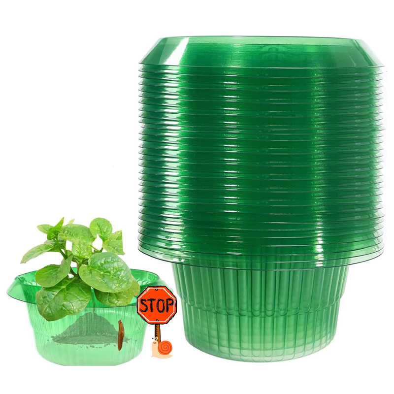 5-25Pcs Plants Slug Protection - đánh giá và giá Gardening Tools Green