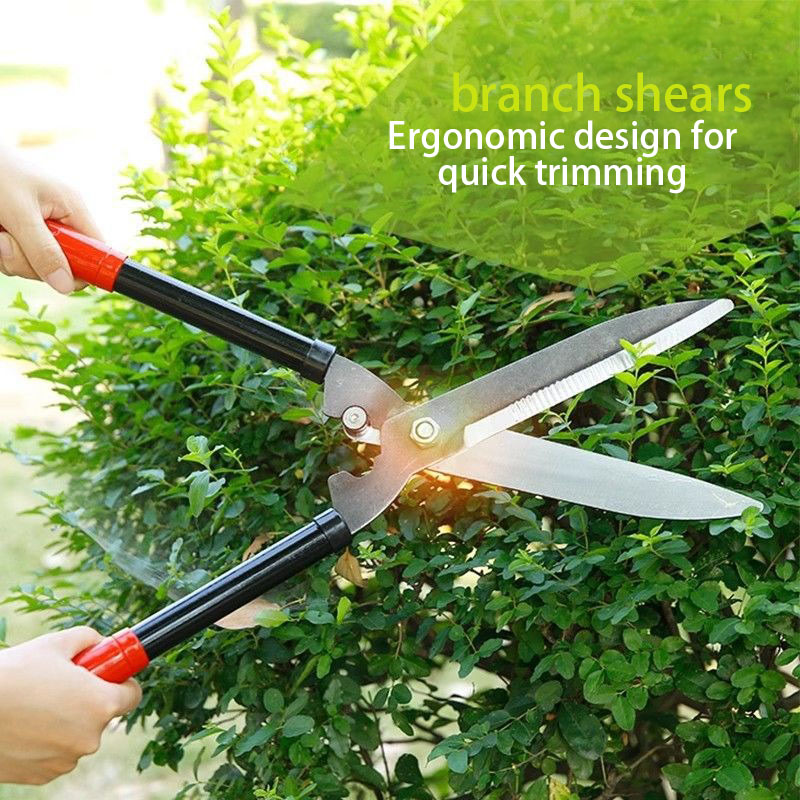 Professional Greening Hedge Cu - đánh giá và giá Gardening Tools Green