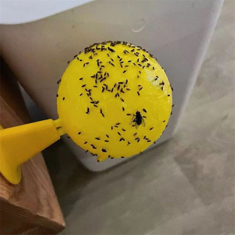 Yellow Sticky Insect Trap Fly  - đánh giá và giá Pest Trap Yellow Sticky