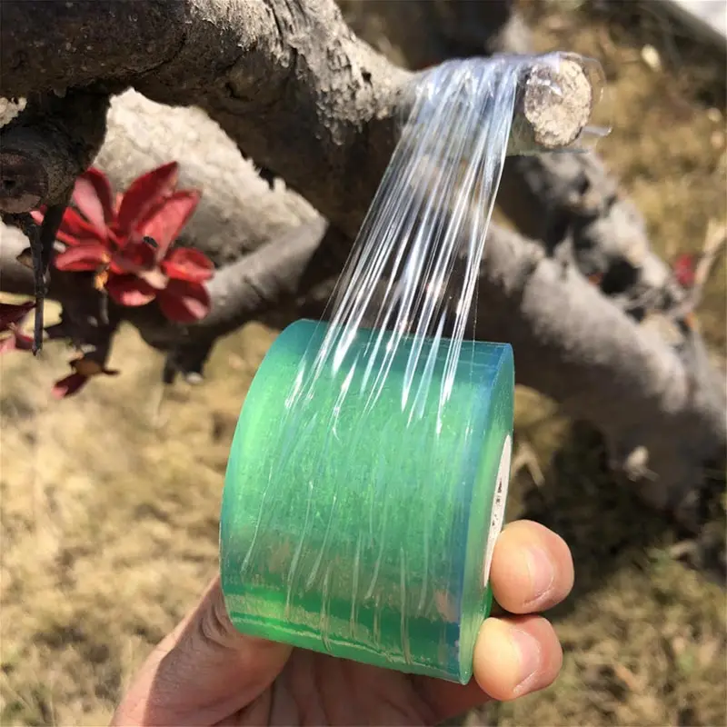 Plant Grafting Specific Film E - đánh giá và giá Grafting Tape