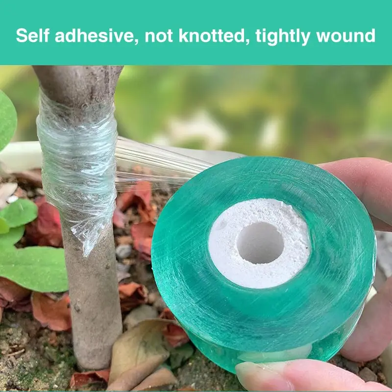 Plant Grafting Specific Film E - đánh giá và giá Grafting Tape