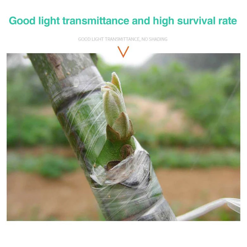 Plant Grafting Specific Film E - đánh giá và giá Grafting Tape