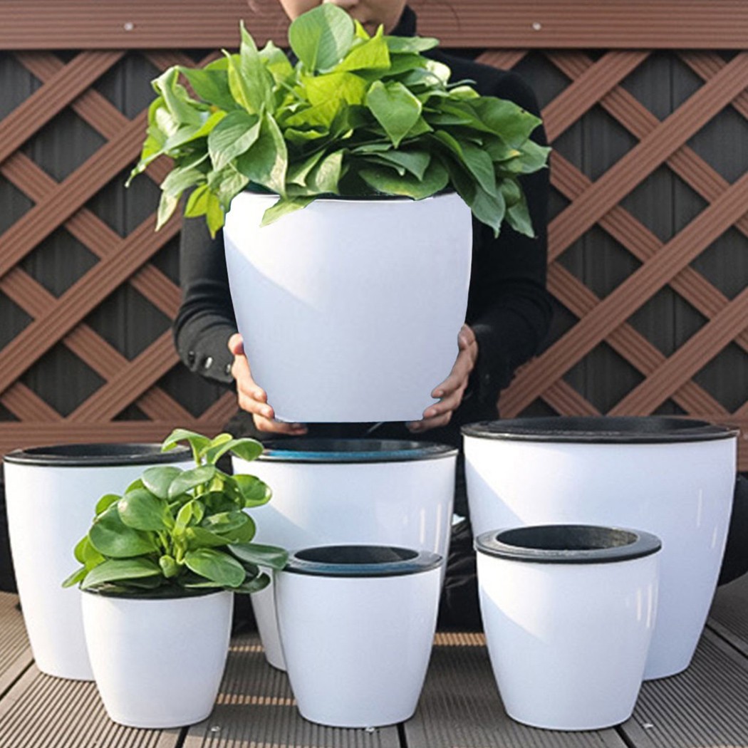 Cây Tự Động Tưới Hoa Cây Nồi G - đánh giá và giá Gardening Tools Green