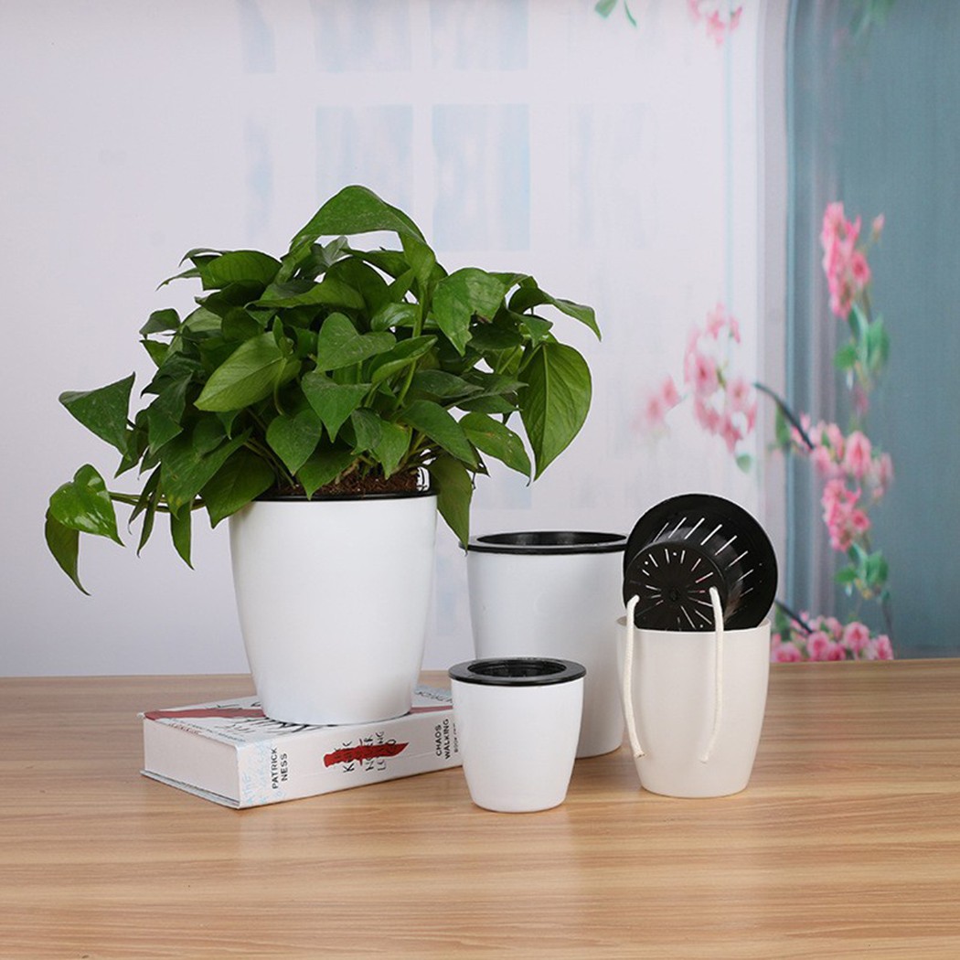 Cây Tự Động Tưới Hoa Cây Nồi G - đánh giá và giá Gardening Tools Green