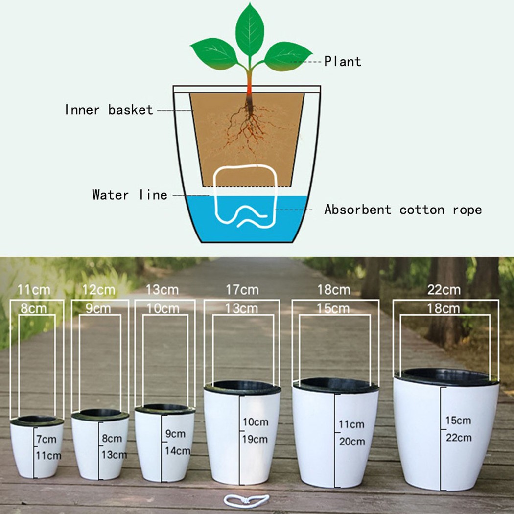 Cây Tự Động Tưới Hoa Cây Nồi G - đánh giá và giá Gardening Tools Green