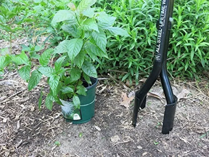 Bulb Planting Tools, Garden Sh - đánh giá và giá Gardening Tools Shovel