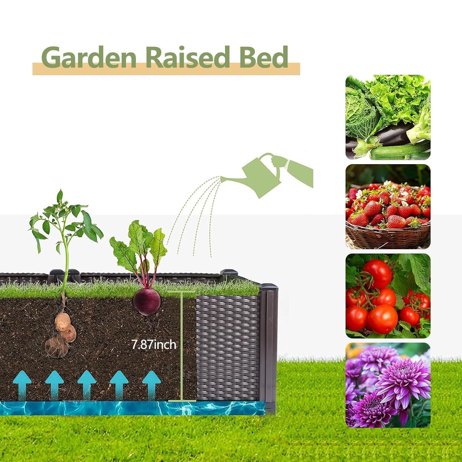 Self-Watering Raised Garden Be - đánh giá và giá Gardening Tools Green
