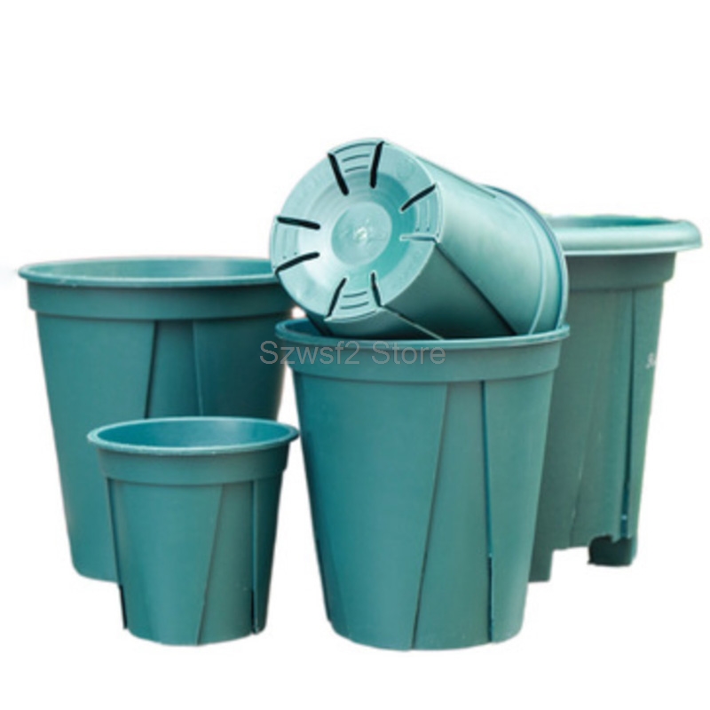 5/10pcs Green Plastic Plant Fl - đánh giá và giá Gardening Tools Green